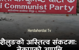 शैलुङमा विना अध्ययन संरचना बनाइएको भन्दै नेकपाको आपत्ति: भन्छ– 'विकासको नाममा विनाश स्वीकार्य छैन'