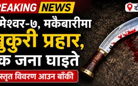 भीमेश्वर-७ मकैबारीमा खुकुरी प्रहार, एक जना घाइते