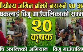 खेतीयोग्य जमिन बाँझो नराख्ने २० अगुवा कृषकलाई विगु गाउँपालिकाको सम्मान