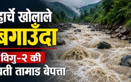 हार्चे खोलाले बगाउँदा विगु-२ की पती तामाङ बेपत्ता