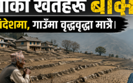 मानो रोपेर मुरी उब्जाउने समय: दोलखाका खेतहरु बाँझै, युवा विदेशमा, गाउँमा वृद्धवृद्धा मात्रै