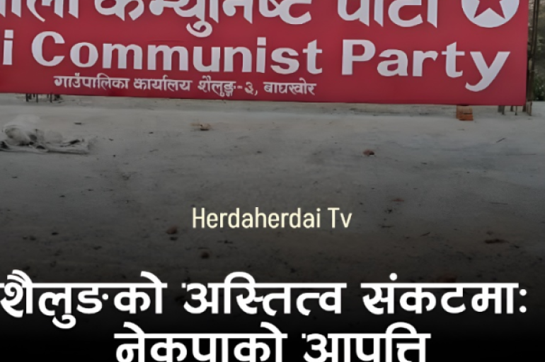 शैलुङमा विना अध्ययन संरचना बनाइएको भन्दै नेकपाको आपत्ति: भन्छ– 'विकासको नाममा विनाश स्वीकार्य छैन'