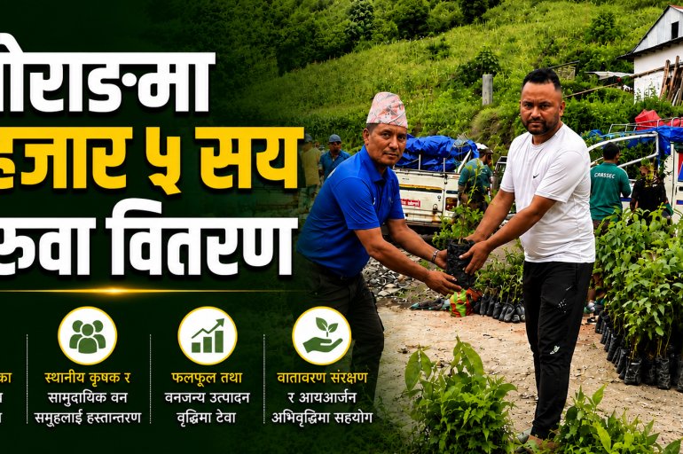 ओराङमा ५ हजार ५ सय बिरुवा वितरण