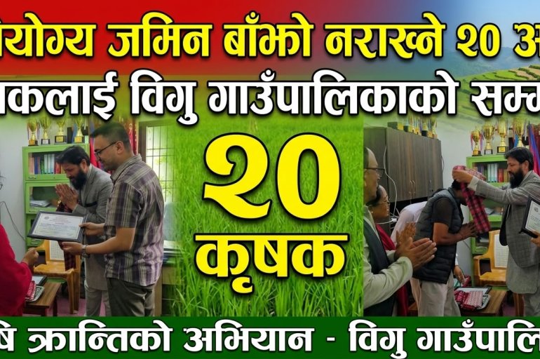 खेतीयोग्य जमिन बाँझो नराख्ने २० अगुवा कृषकलाई विगु गाउँपालिकाको सम्मान